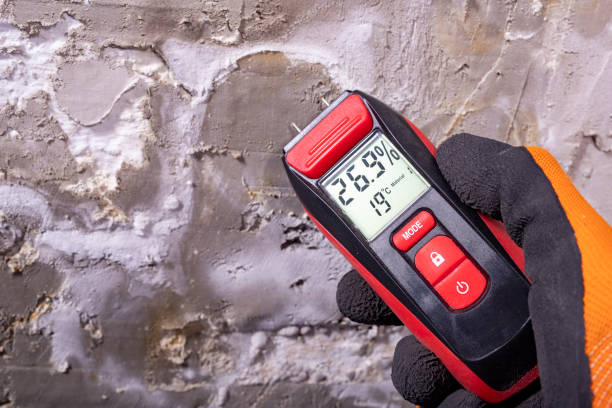 Crawl Space Mold Removal in Keenesburg, CO